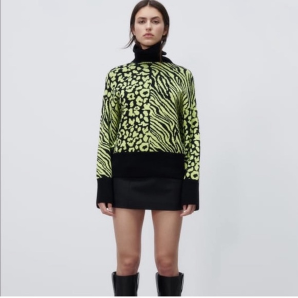 NWT Zara Sweater- Bloggers’ Favorite - Picture 7 of 11